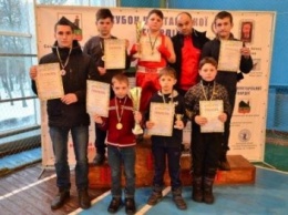 Воспитанники ДЮСШ Добропольского района приняли участие в Открытом чемпионате Донецкой области по боксу
