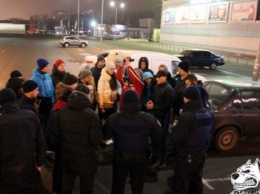 В Одессе пьяных водителей отлавливает армия питбулей (ФОТО)