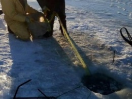 Кременчугские водные копы и Рыбоохранный патруль задержали браконьеров, поймавших 160 кг рыбы (ФОТО)