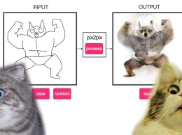 Ученые создали программу, которая превращает рисунки пользователей в фото котиков