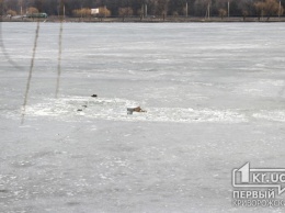 В Кривом Роге под лед провалились четыре рыбака