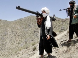 Лидер «Талибана» в Афганистане призвал сторонников сажать деревья