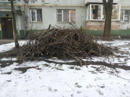 Жителей Шевченковского района коммунальщики завалили мусором (фото)