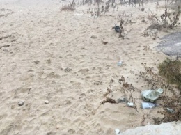Пляж под Одессой утопает в бытовых отходах