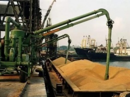 Кто в морских портах обеспечивает экспорт украинского зерна (ИНФОГРАФИКА)