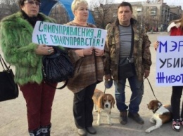 Зоозащитники Донецкой области провели акцию в Славянске