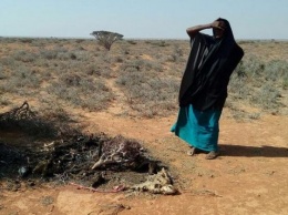 В Сомали за двое суток от голода умерли 110 человек