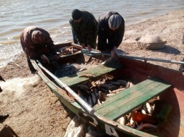 В Запорожской области браконьер наловил рыбы на 150 тыс грн