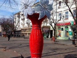 Дерибасовскую украсили пушистые цветы в высоких вазах (ФОТО)