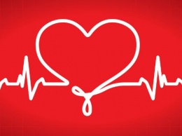 Ученые сумели раскрыть главный секрет сердцебиения