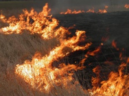За сутки спасатели Николаевщины 9 раз выезжали тушить возгорания в экосистемах