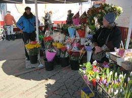 Сколько стоят цветы в Бердянске накануне 8 Марта?