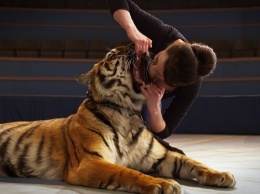 Актриса Ольга Погодина рассказала, зачем сунула голову в пасть тигру