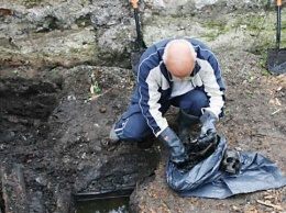 В Прикамье найдены останки мужчины
