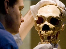Неандертальцы принимали обезболивающие и, возможно, пенициллин