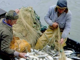 Рыбаки в Одесской области угрожают перекрыть Дунай, если им не разрешать ловить рыбу