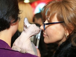 На одесском морвокзале открылась выставка кошек