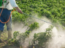 Эксперты ООН: Пестициды убивают не только насекомых, но и людей