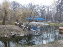 В Запорожской "Дубовке" разрушается веревочный парк, - ФОТОРЕПОРТАЖ