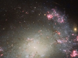 Hubble сделал снимок хаотичной галактики с перемычкой NGC 428