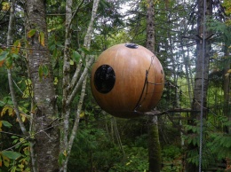 В Канаде построили круглые гостиничные номера на деревьях