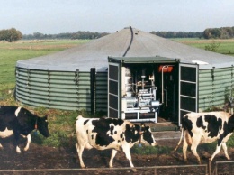 На украинских фермах стали активно производить биогаз