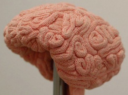Что происходит с мозгом во время рукоделия?