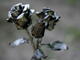 На Полтавщине выковали розы из железа (видео)