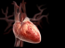 Ученые выяснили, что едят люди, у которых самое здоровое сердце