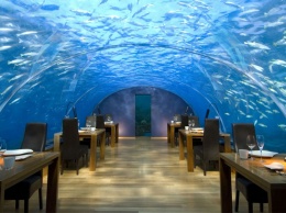 На дне: лучшие подводные рестораны