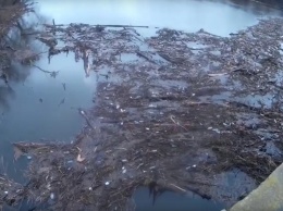 На полтавской реке - огромный затор из деревьев (видео)