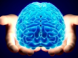 Человеческий мозг игнорирует негатив