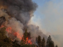 Из-за лесных пожаров в Калифорнии приостановлена добыча нефти