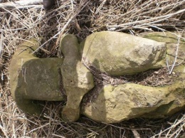 На Днепропетровщине нашли новую каменную бабу