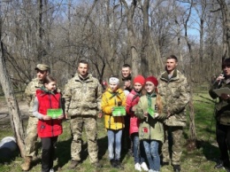 В парке военые и дети высадили аллею именных кленов (фото)