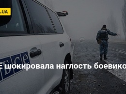 ОБСЕ шокировала наглость боевиков ЛНР