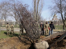 На Луганщине заложили Сквер Славы защитников Украины: смотрите фото