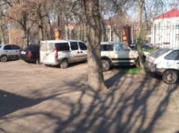 Зеленая зона превратилась в парковку (фото)