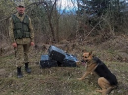 На границе с Румынией нашли тайник с контрабандными сигаретами