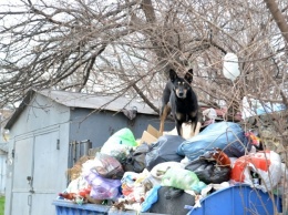 Микрорайон возле Одесского НПЗ утопает в мусоре: его не вывозят четвертые сутки