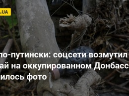 Это по-путински: соцсети возмутил случай на оккупированном Донбассе, появилось фото