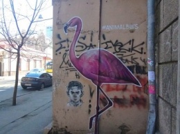 Розовый фламинго поселился на стене дома в Одессе (ФОТО)