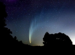 В апреле к Земле приблизится огромная комета