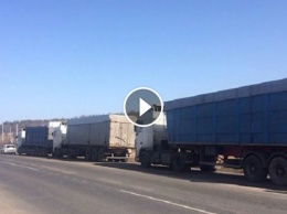 Видео с попыткой "каскадерской" кражи на трассе Киев-Ковель впечатлило сеть