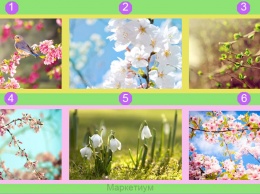 Тест-предсказание: узнайте, какие 3 вещи приготовила вам весна