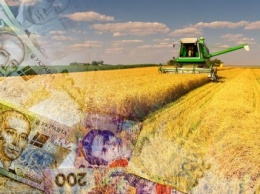 Сколько зарабатывают аграрии в Черниговской области?
