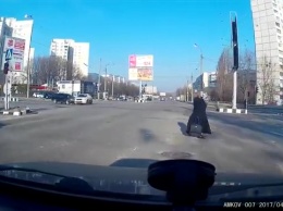 ВИДЕО ДТП в Харькове: водитель Skoda не проскочил на «красный»