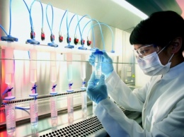 Японские ученые провели первую успешную операцию по пересадке стволовых клеток