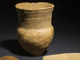 Шнуровая керамика помогла объяснить происхождение древних германцев