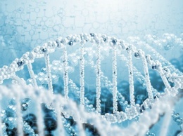 Ученые: Люди выбирают себе супругов с похожим ДНК-узором